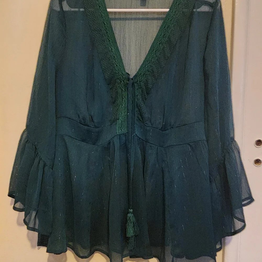 Torrid Green blouse with silver sparkles - Picture 7 of 7